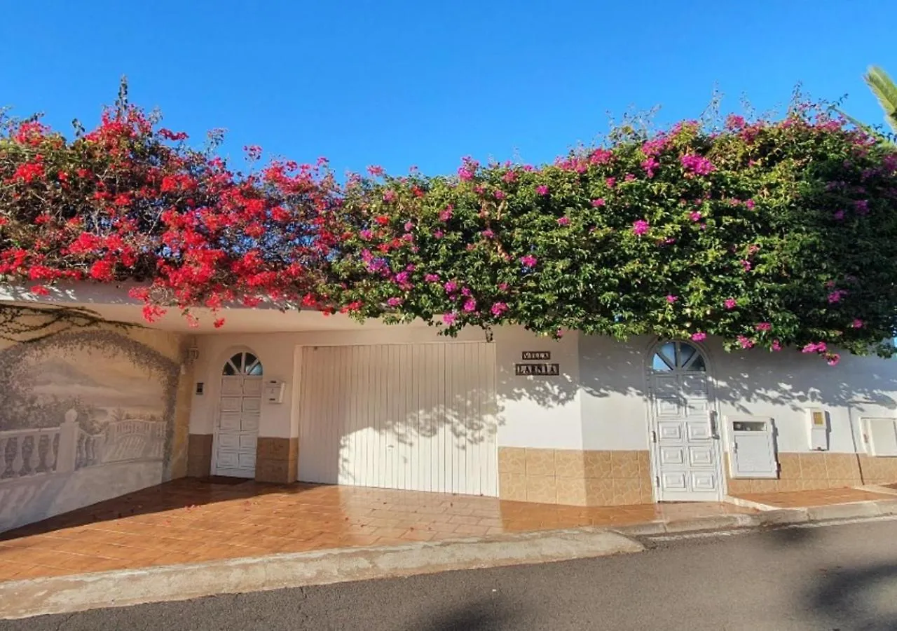 Villa Larnia De Tenerife Саусаль