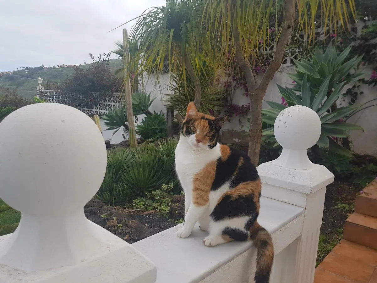 Villa Larnia De Tenerife Саусаль Апартаменты