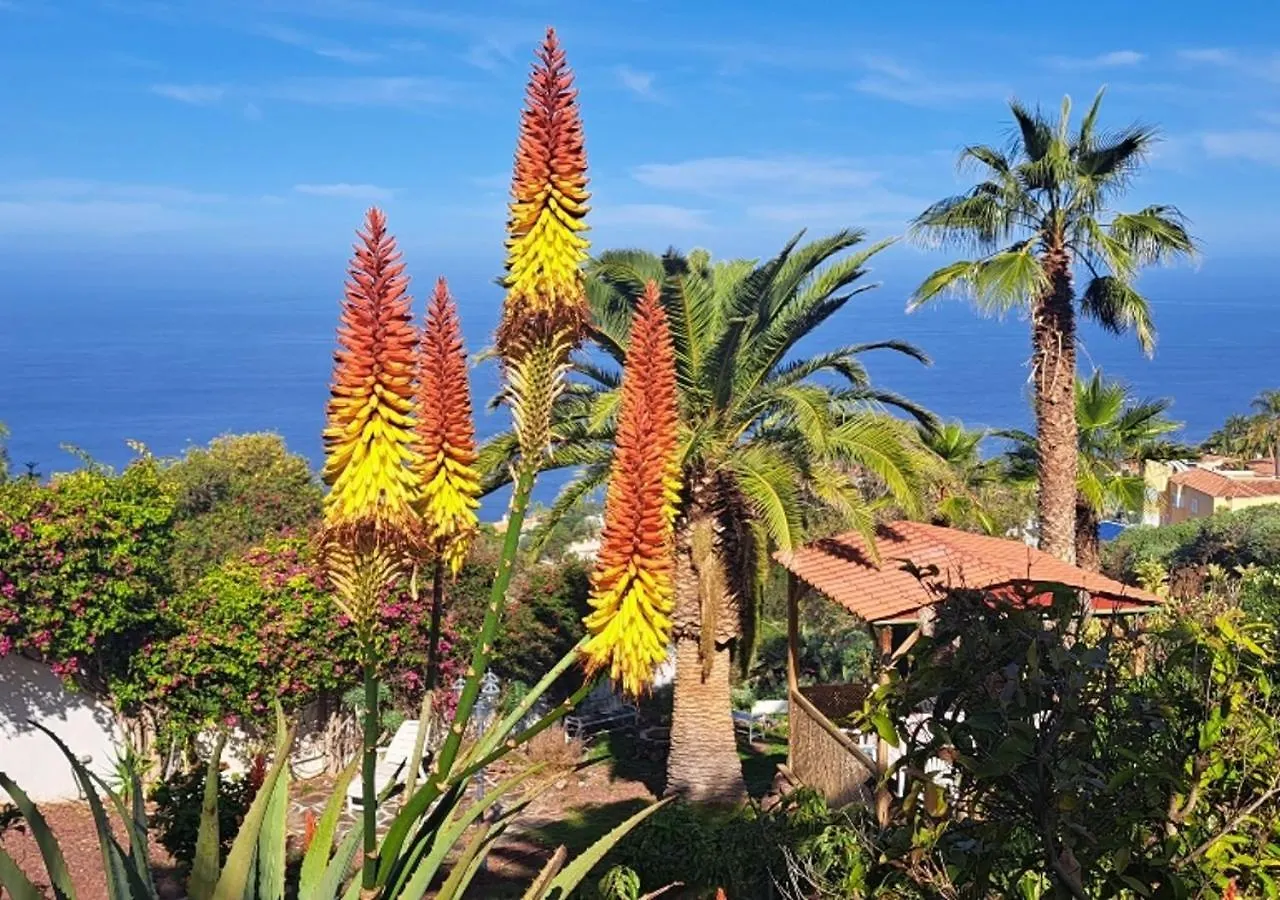 Villa Larnia De Tenerife El El Sauzal 0*,