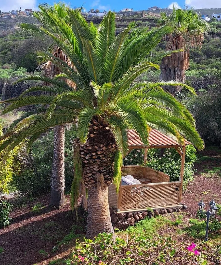 Villa Larnia De Tenerife El El Sauzal 0*,  Spanien